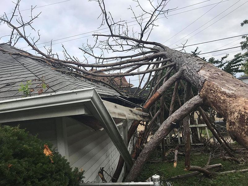 Storm damage: tree down on a roof